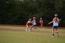 Enlarge photo 398