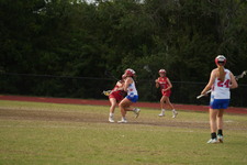 Enlarge photo 399