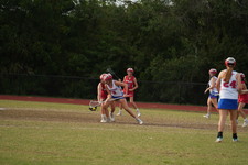 Enlarge photo 407