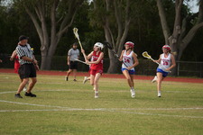 Enlarge photo 426