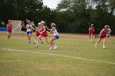 Enlarge photo 427