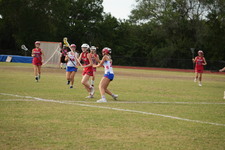 Enlarge photo 429