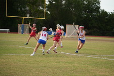 Enlarge photo 441