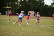 Enlarge photo 442
