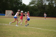 Enlarge photo 445