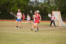 Enlarge photo 463