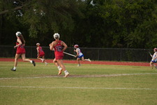 Enlarge photo 482