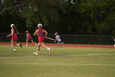Enlarge photo 483