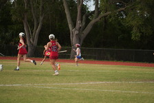 Enlarge photo 487