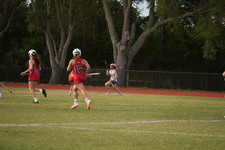 Enlarge photo 488