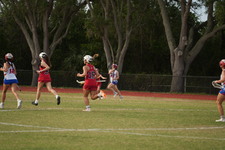 Enlarge photo 493