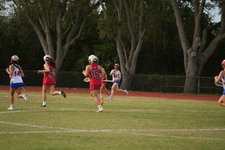 Enlarge photo 494