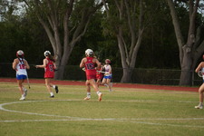 Enlarge photo 495