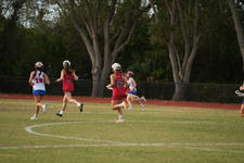 Enlarge photo 497