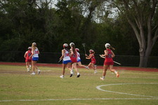 Enlarge photo 499