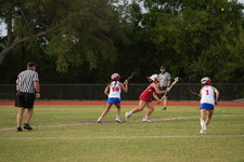 Enlarge photo 530