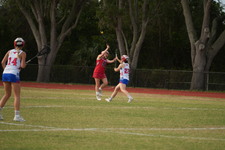 Enlarge photo 572