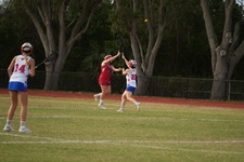 Enlarge photo 571