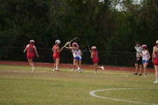 Enlarge photo 589