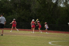 Enlarge photo 593