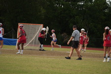 Enlarge photo 599