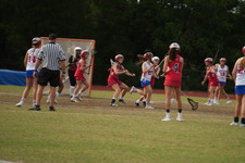 Enlarge photo 629