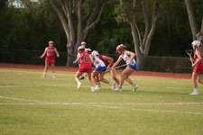 Enlarge photo 1393