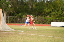 Enlarge photo 1462