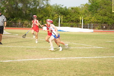 Enlarge photo 1491