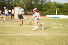 Enlarge photo 1493