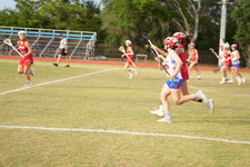Enlarge photo 1499