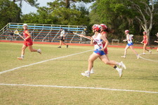 Enlarge photo 1501