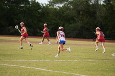 Enlarge photo 1529