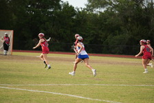 Enlarge photo 1531