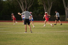 Enlarge photo 1575