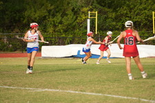 Enlarge photo 1629