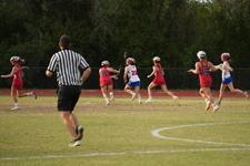 Enlarge photo 1654