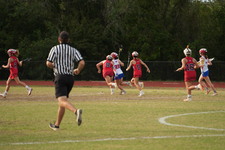 Enlarge photo 1656
