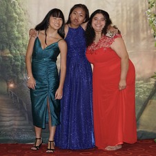 Enlarge photo 231