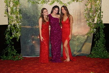 Enlarge photo 244