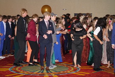 Enlarge photo 251