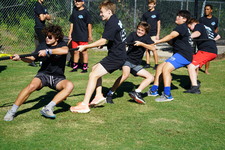 Enlarge photo 113