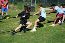 Enlarge photo 257