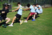 Enlarge photo 261