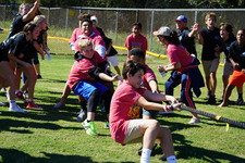 Enlarge photo 272