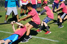 Enlarge photo 311