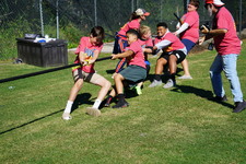 Enlarge photo 429