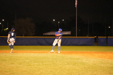 Enlarge photo 2011