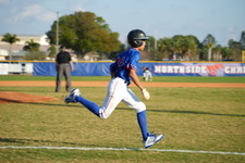 Enlarge photo 162