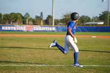 Enlarge photo 166